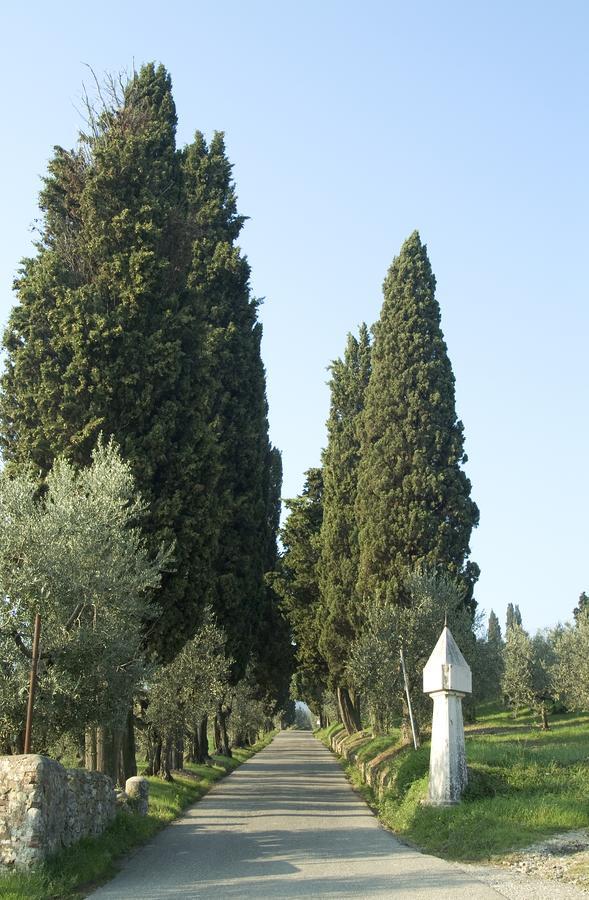 Tenuta Di Capezzana Bed & Breakfast Seano Luaran gambar