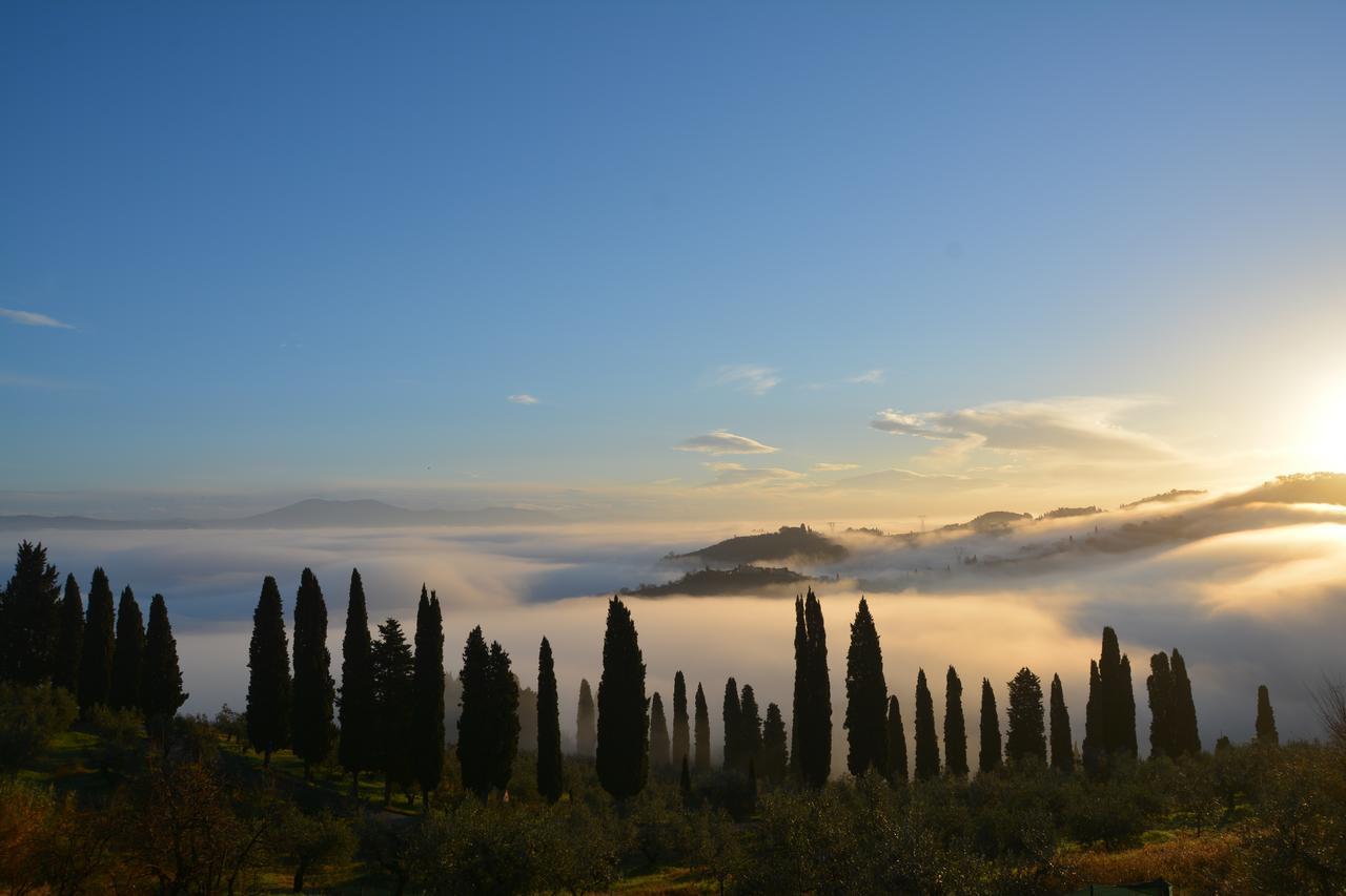 Tenuta Di Capezzana Bed & Breakfast Seano Luaran gambar